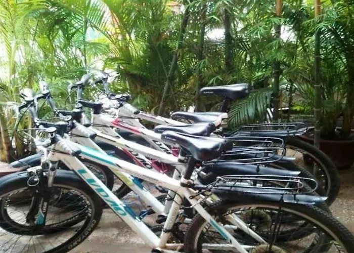 Big Lyna Siem Reap